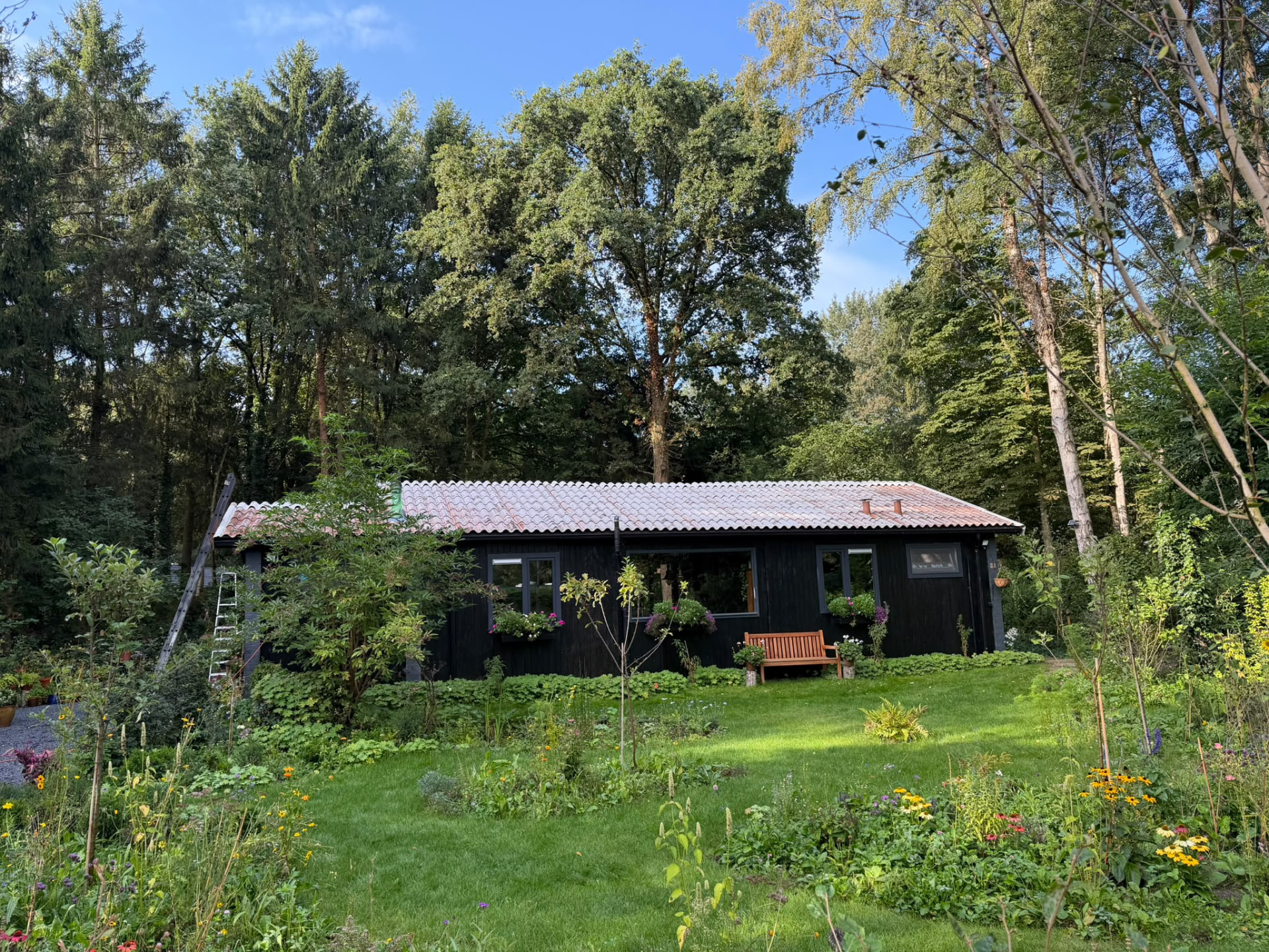 Dakplaten coaten in Drijber — het dak vóór de behandeling