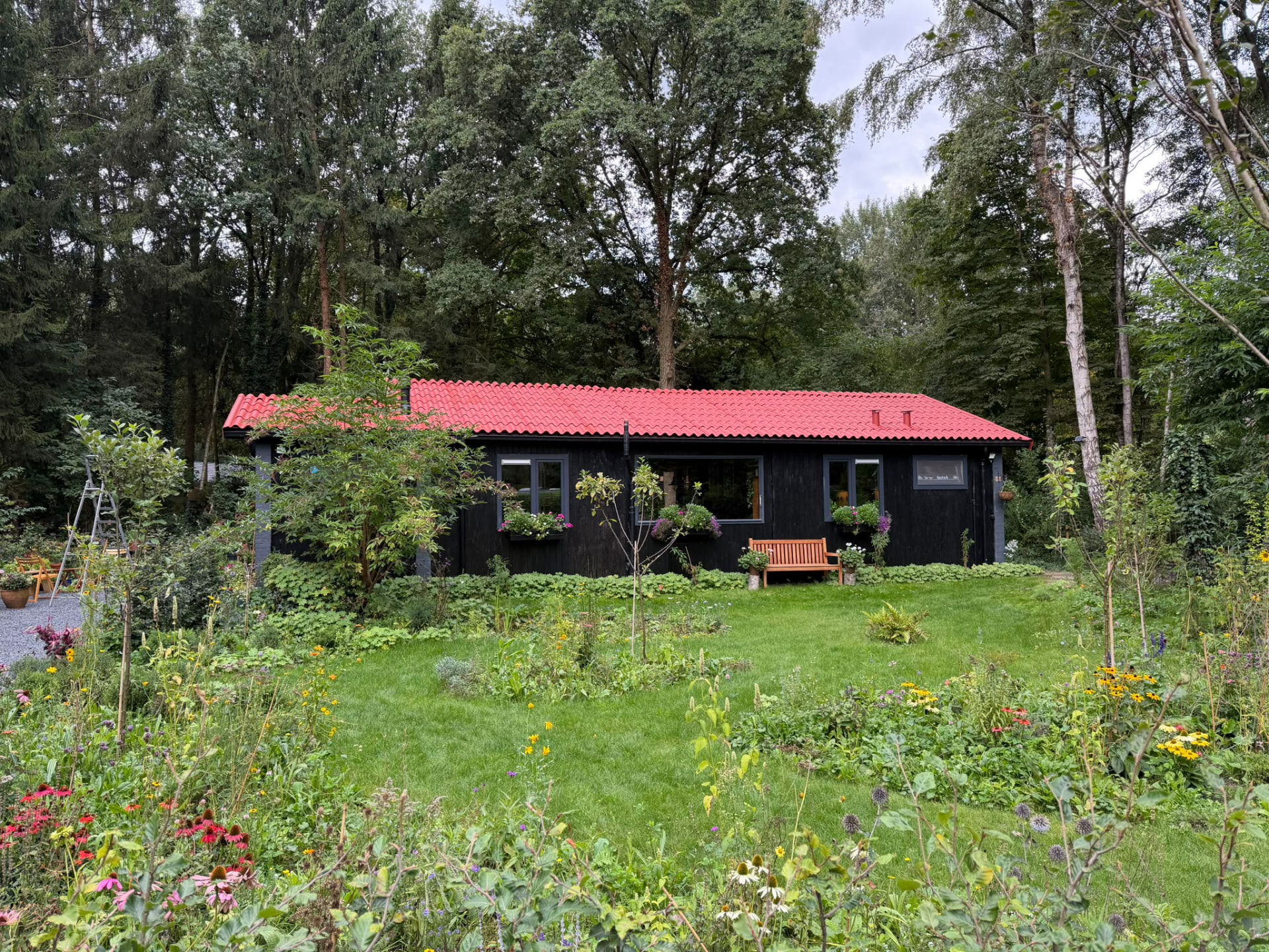 Dakplaten coaten in Drijber — het dak ná de behandeling