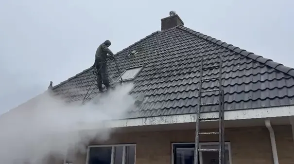 Dakreiniging